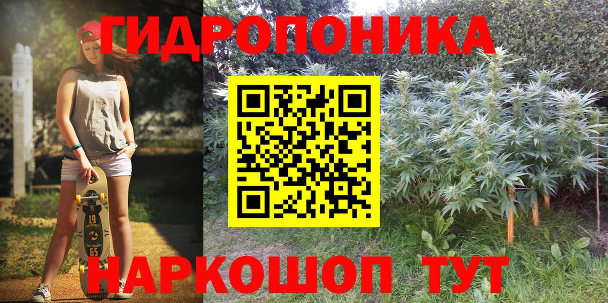 МАРИХУАНА AK-47  Вход с VPN  Миллерово  Каннабис индика  Марихуана план 